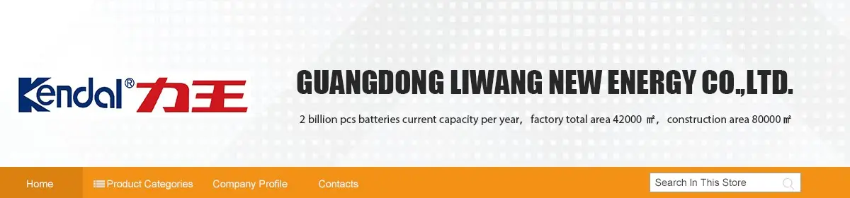 Guangdong Liwang New Energy. Guangdong Liwang New Energy co батарейки лента.