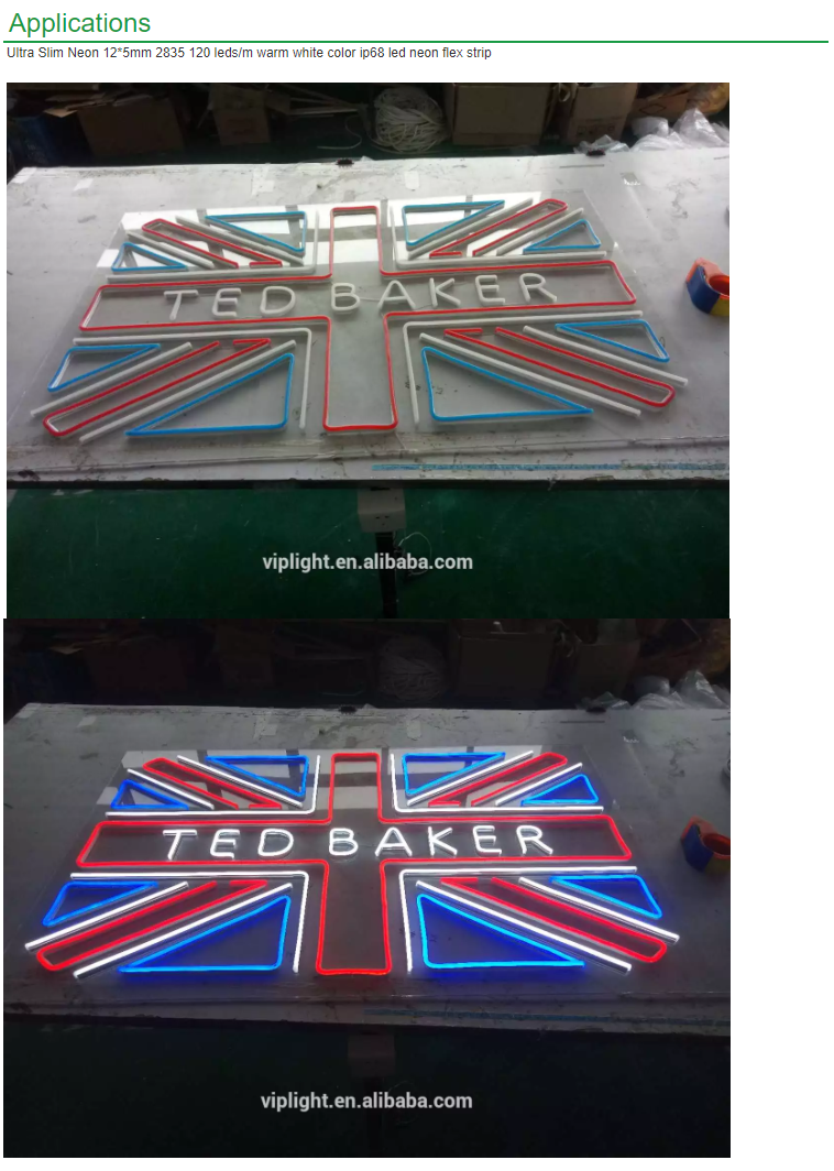 カスタムネオンライトアクリルボードスカルスケルトンLED