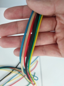 fishing pole elastic