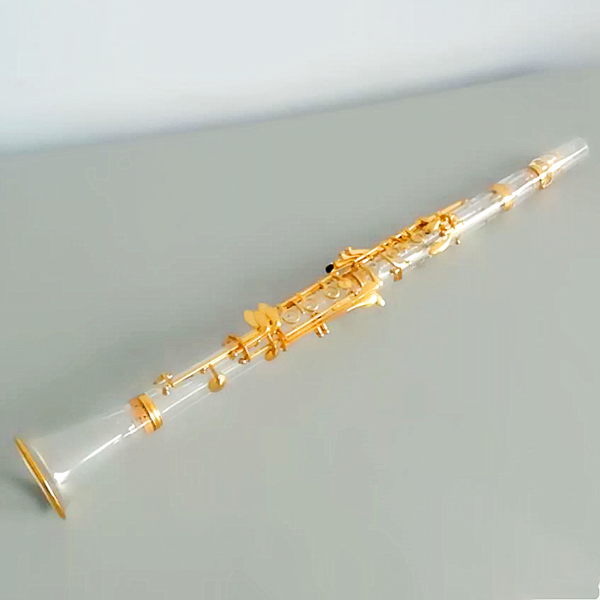 スタイリッシュなアクリル透明クラリネット 17 キー Bb 金メッキ楽器