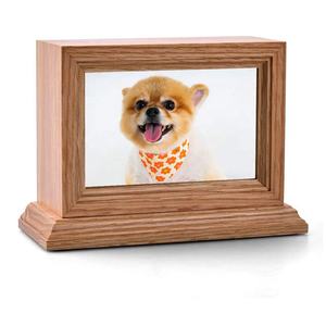 pet caskets petsmart