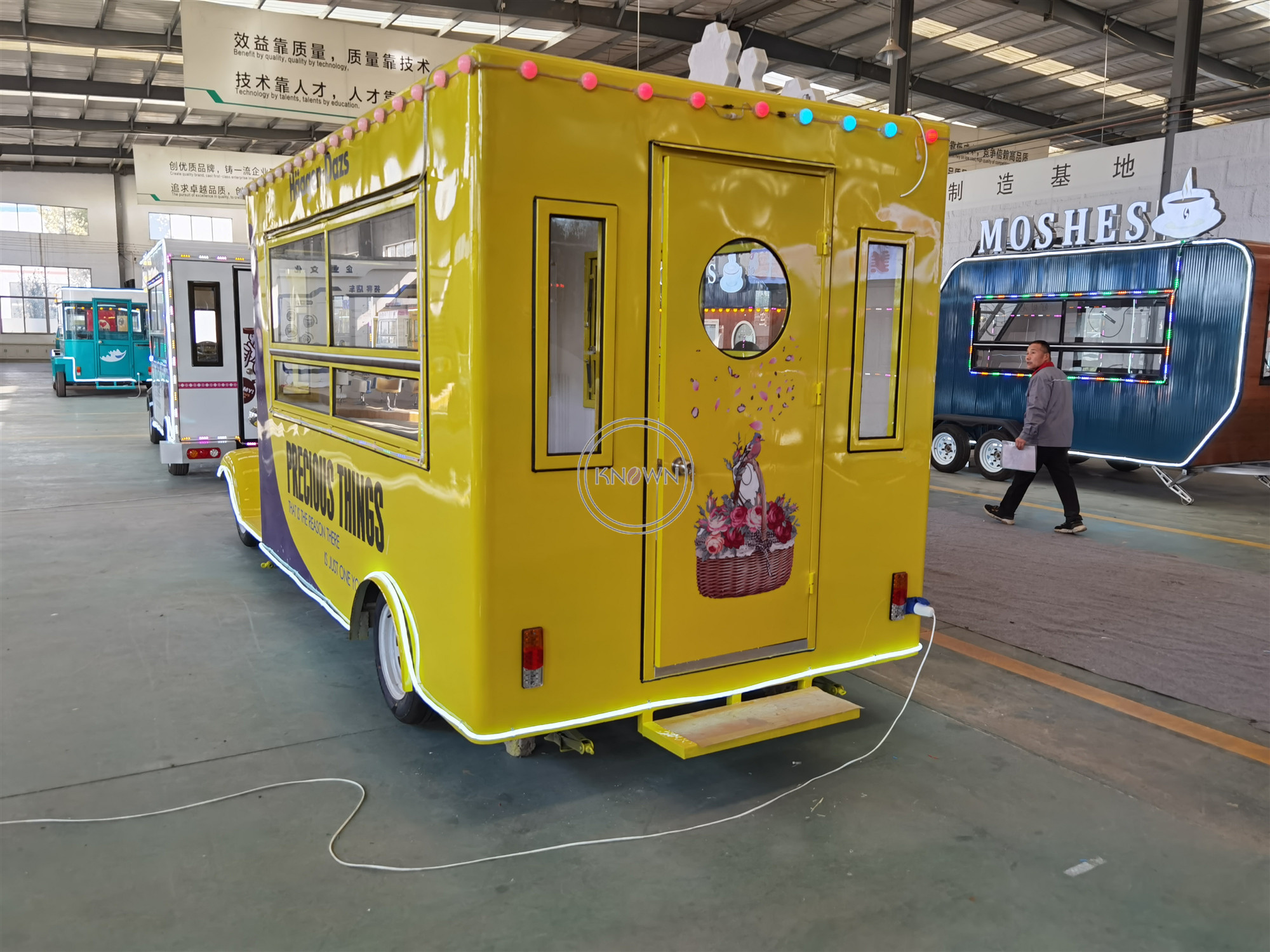 电动热雾食品车厢式移动餐饮食品车展示披萨出售泰国美国