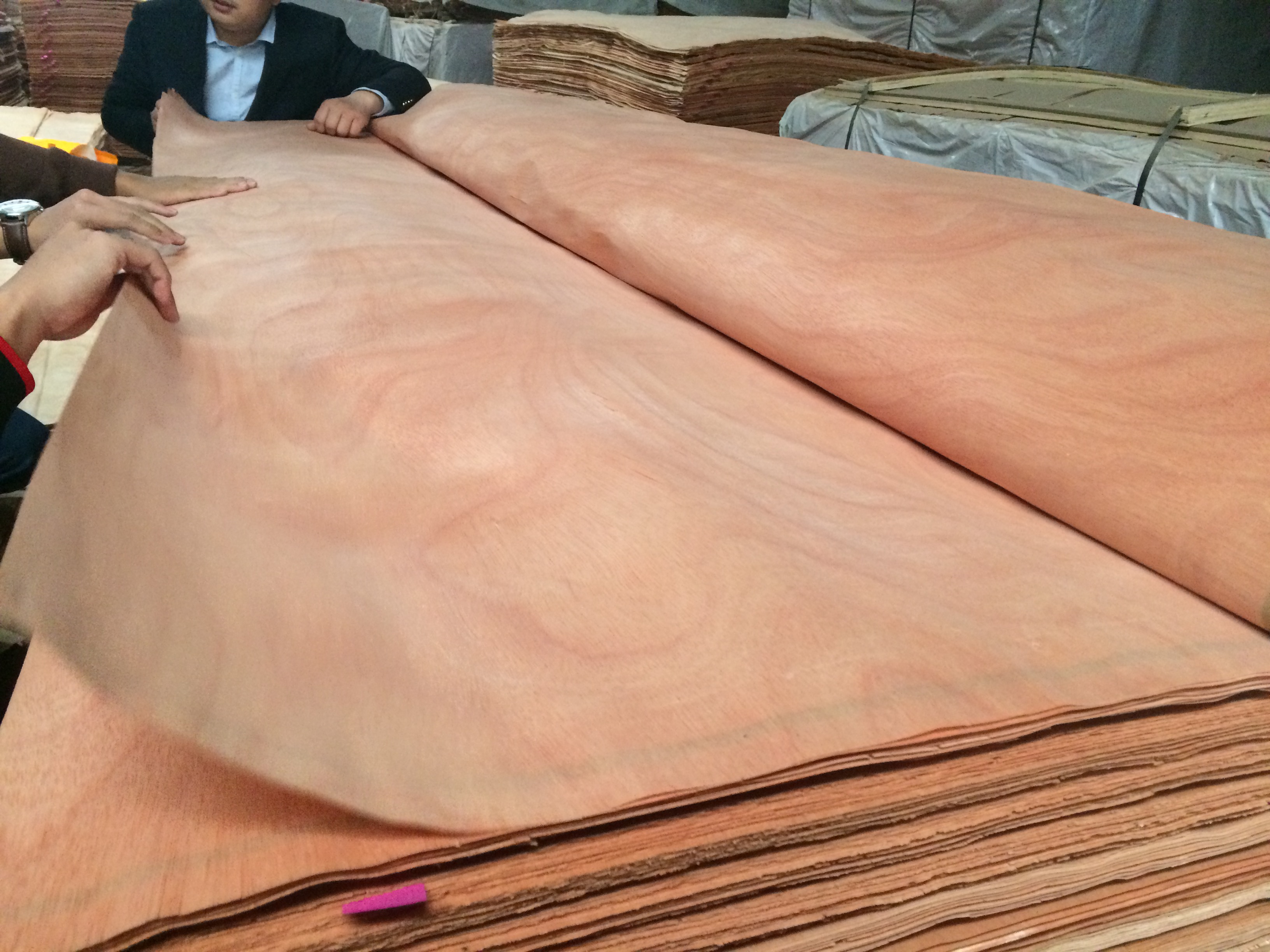 Fsc low price good quality 1mm american walnut beech wood veneer