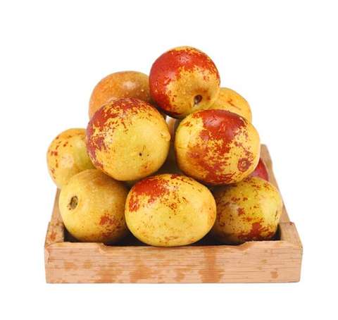 fresh winter jujube, fresh winter jujube direct from xian glare