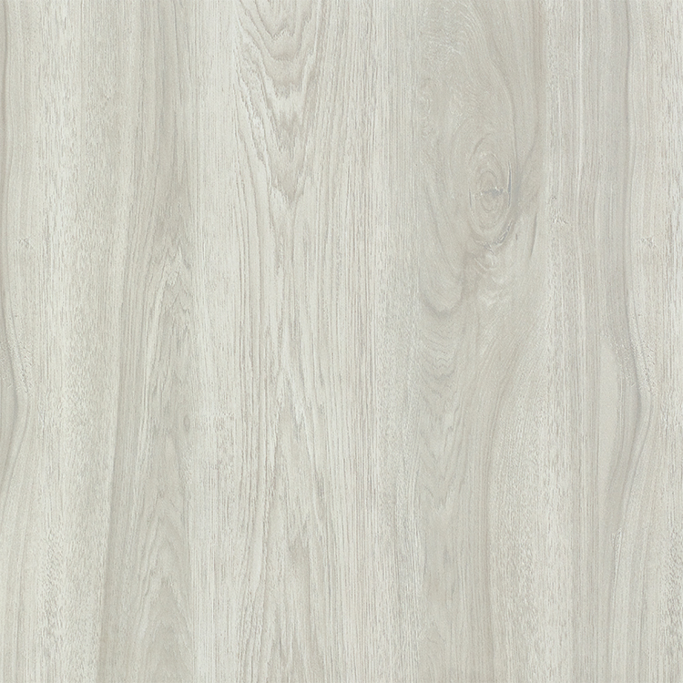 Hasin 600X600MM Wall And Floor Ceramic Tiles Heat-Insulation Non-Slip Rustic Tile Matt Surface Porcelain Tile