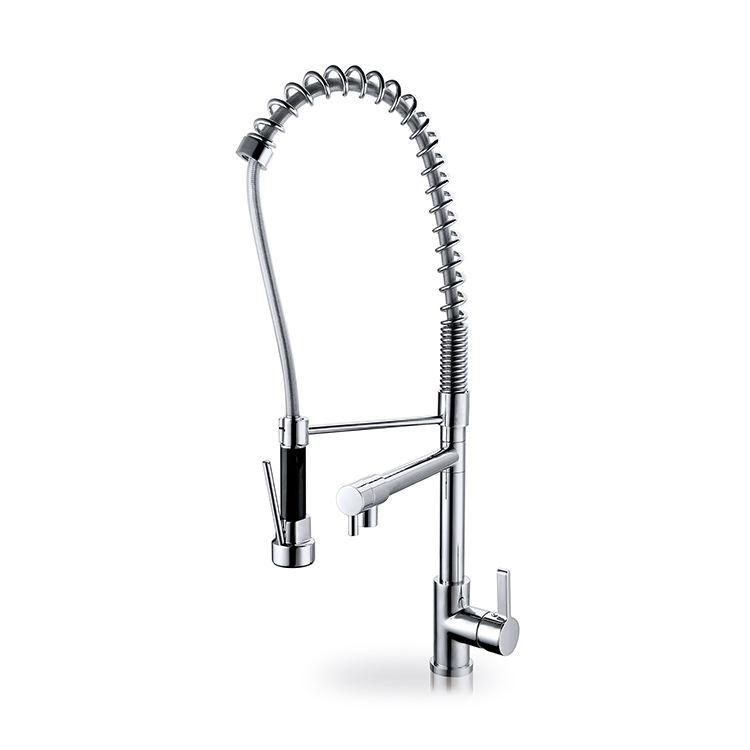 Multi-Function Luxury Pull-Out Kitchen Faucet