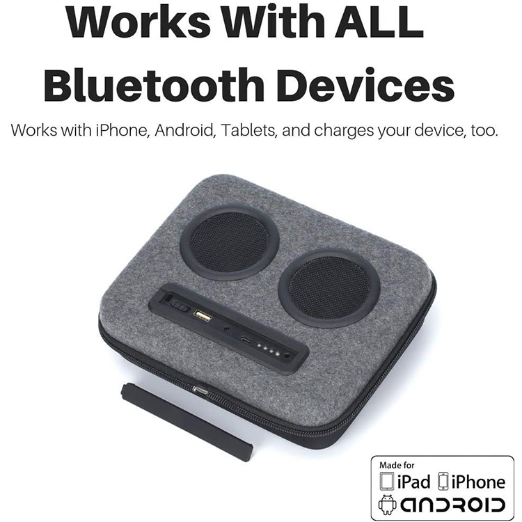 2020 Borsa termica per altoparlante incorporata di nuova moda, zaino per dispositivo di raffreddamento della radio isolato