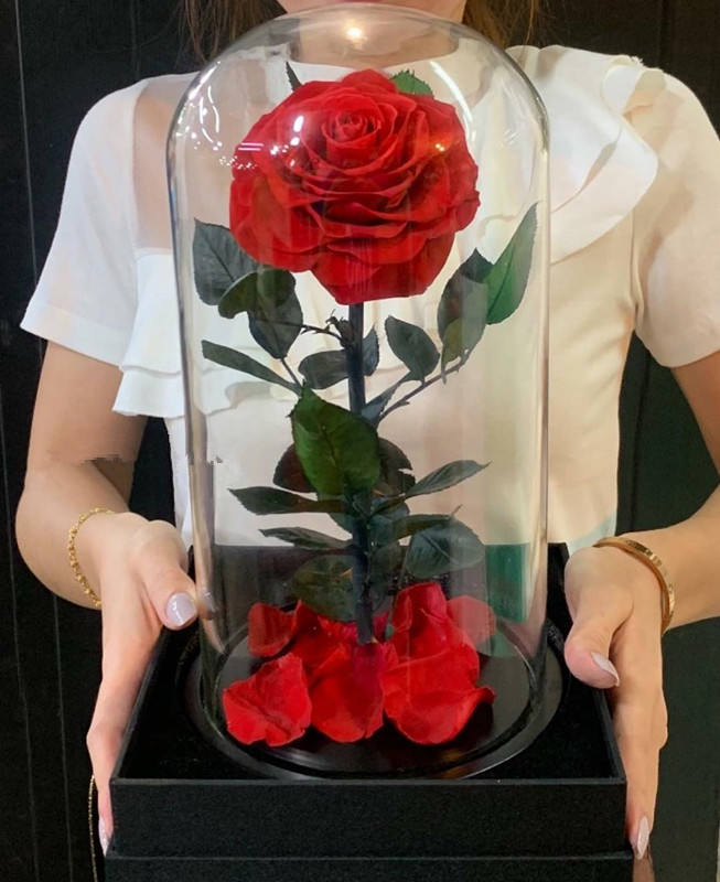 Ebay Penjualan Laris Harga Murah Bunga Diawetkan Abadi