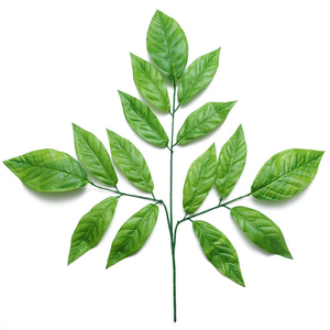 Decoration Mango Leaves Decoration Mango Leaves Suppliers And