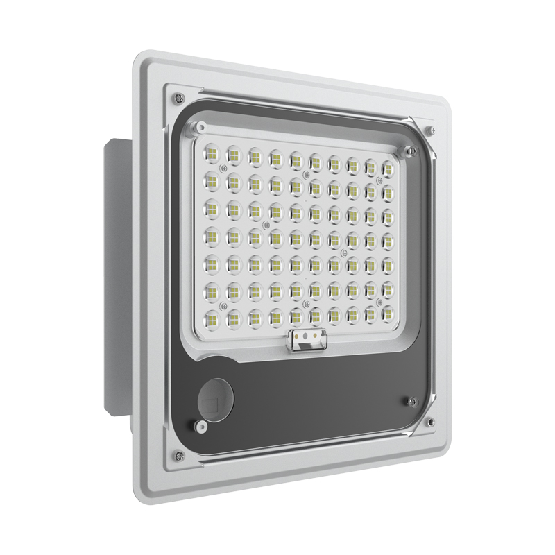 Дешевая Цена по прейскуранту завода взрывобезопасный свет 100 Вт светодиодные заправочные станции модернизированные огни