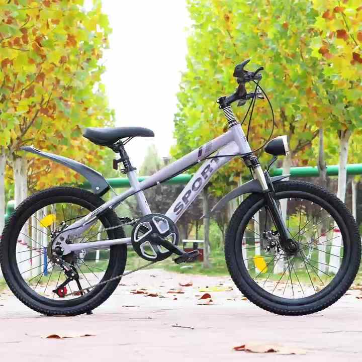 20-Inch Speed Mountain Bike for Students Double Disc Brake