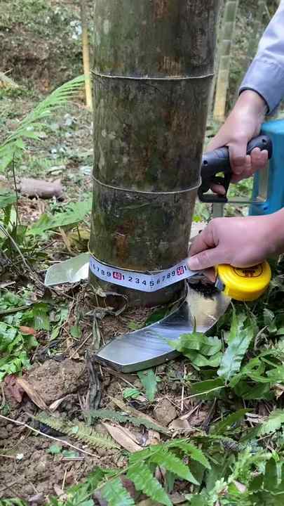 Spaccalegna Manuale In Acciaio A 4 Tagli Per Bambù, Impugnatura Antiscivolo, Per Giardinaggio E Fai Da Te, Divisione Rapida