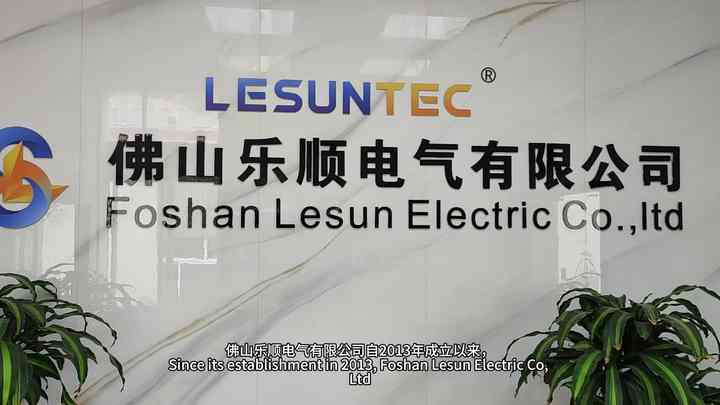 Lesun Lesun Professional Customized Automotive ECU Connector Wire Harness Car ...