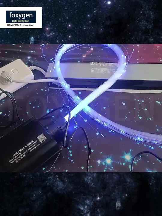 Twinkling Starlight Stretch Ceiling Fibre Optical Light with Remote for ...