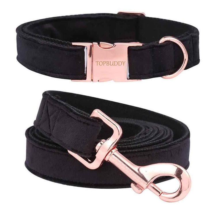 dog collar hardware kit