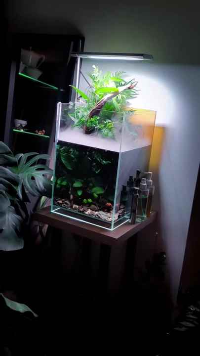 Week Aqua S450 Led Aquarium Light - Full Spectrum & Customizable