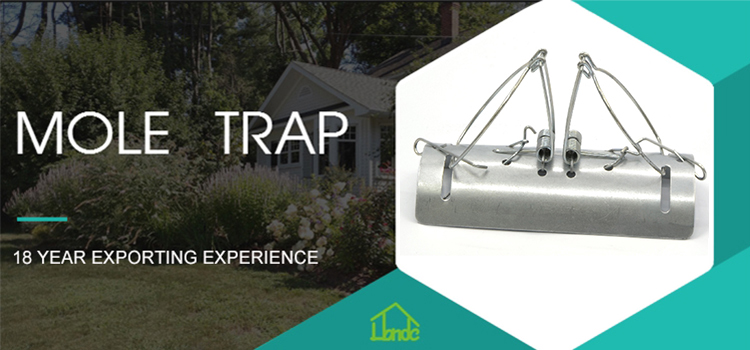 Galvanized Steel Mole Gopher Trap for Lawn Outdoor Gopher Vole Garden Reusable Metal Mole Trap from China