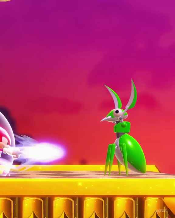 SAMSUNG Sonic the Hedgehog PRO Plus Micro Tf SD Flash Memory Card