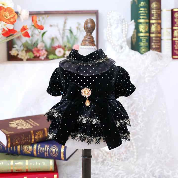 elegant fancy dog dresses Luxury Princess Lace Dog Dress White / M
