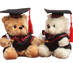 graduation teddy bear card factory