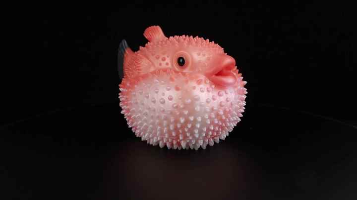 G6611 Blowfish Design Masturbators Fleshy and Cute Vaginal Sex Toys for Men Masturbating G6611 Blowfish Design Masturbators Fleshy and Cute Vaginal Sex Toys for Men Masturbating