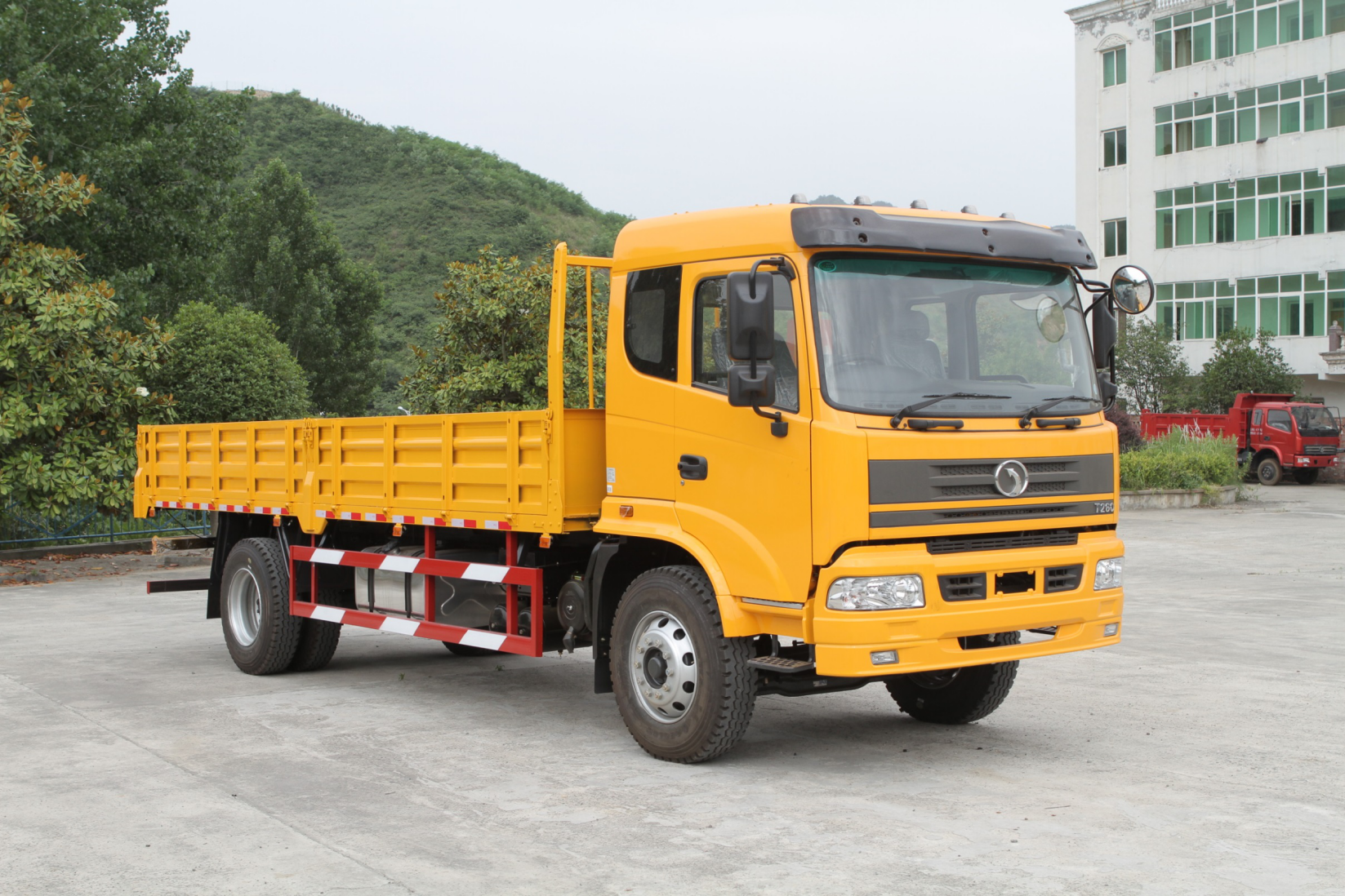 出口标准发动机的选项货运卡车