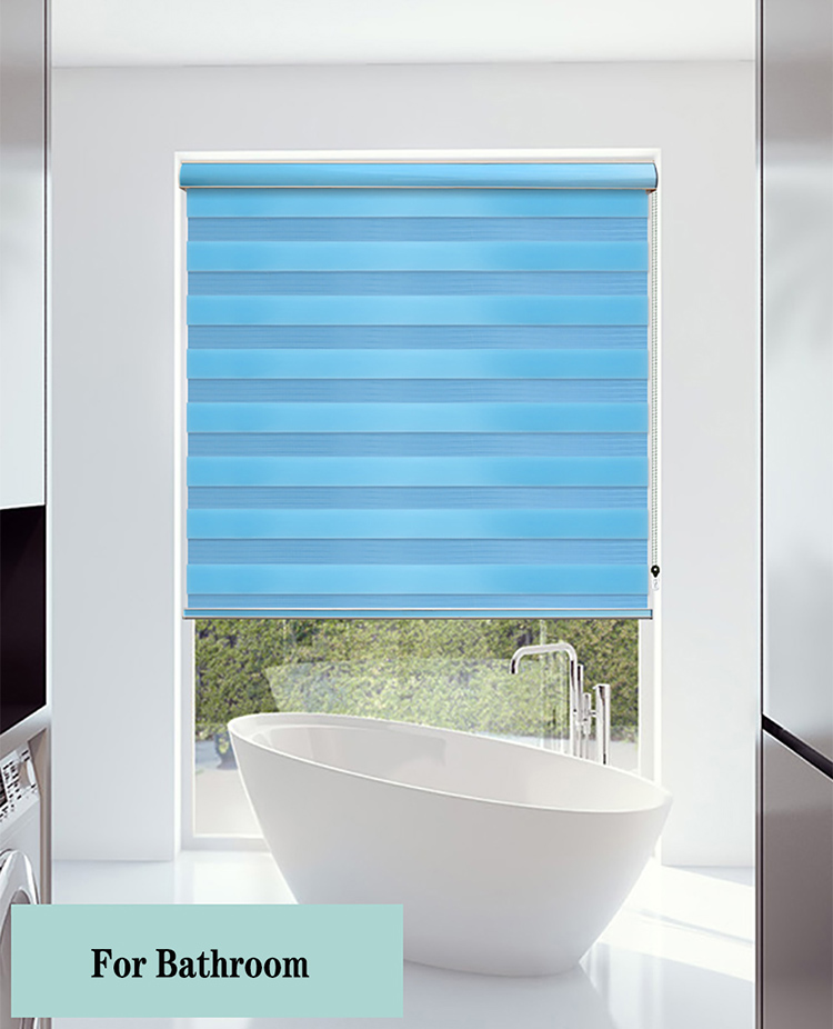 China window zebra blinds for home