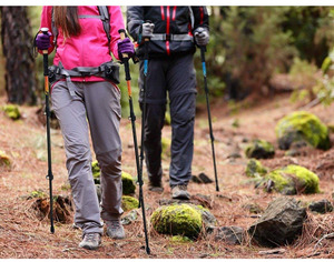 wilcor nature's walking stick