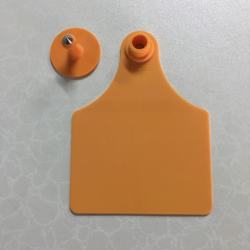livestock blue ear tag calf ear tag