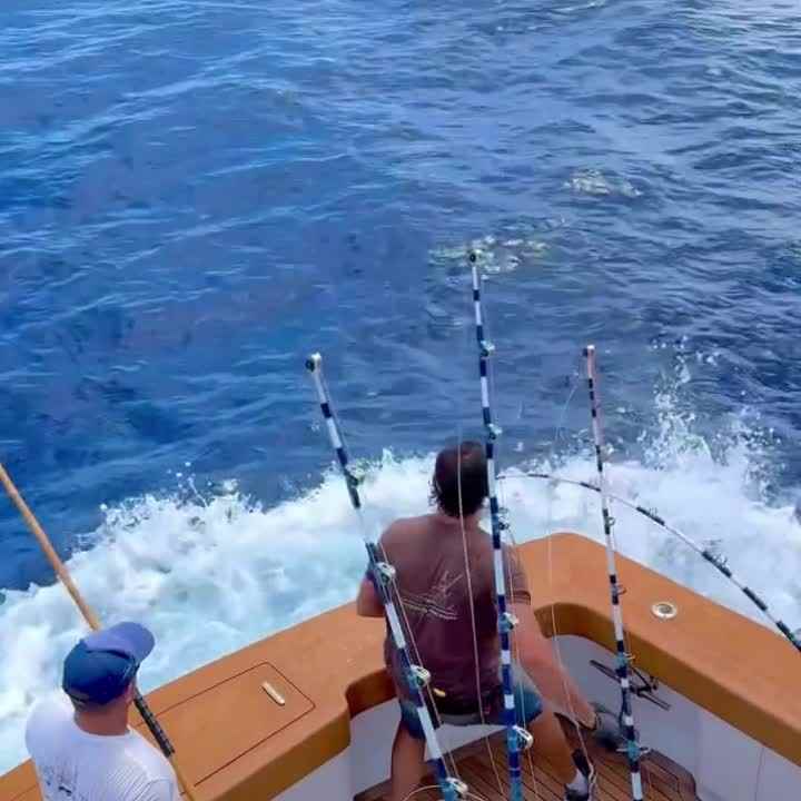 academy fishing reel sale Fishing Reels