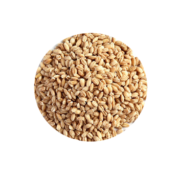 2 Row Barley Seed Buy Quality 2 Row Barley Seed On M Alibaba Com