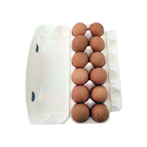 Download 12 Packs Quail Egg Cartons 12 Packs Quail Egg Cartons Suppliers And Manufacturers At Alibaba Com Yellowimages Mockups