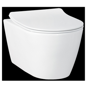 top quality squat toilet spy cam