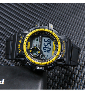 polit watch wr30m price