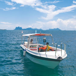 16ft (4.98m)Aluminum Alloy Speedboat