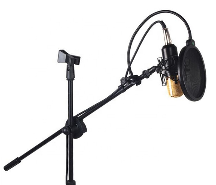 2019 high quality professional vocal microphone stand microphone instrument