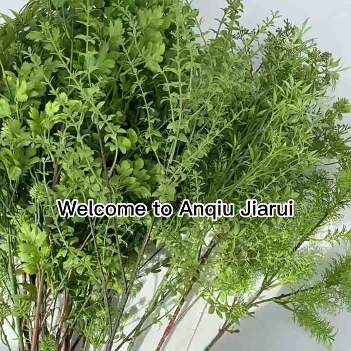 samen saatgut Bio-Gartengemse Samen-Set kaufen