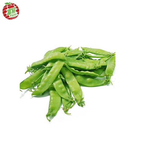 white/green radish, white/green radish direct from guangdong