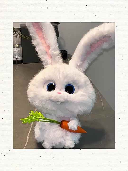 リンダ2024ラビットボスドールぬいぐるみラブペットビッグ