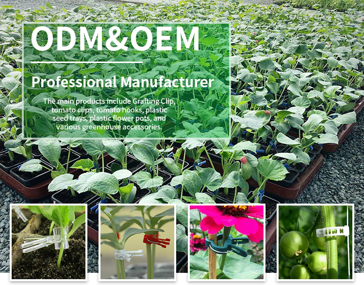 30パック4インチピートポット苗用植物スターター、生分解性