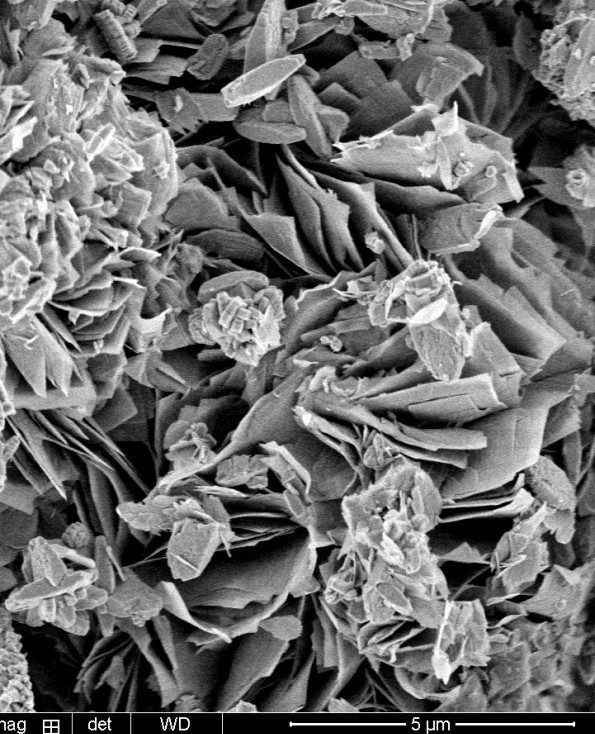 Factory Price Molecular Sieve SAPO-11 Zeolite Catalyst Powder 1