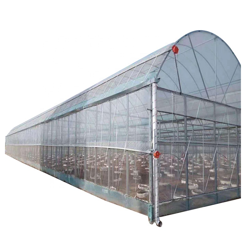 Низкая стоимость многоразового полиэтиленовой пленки теплицы с гидропоники системы