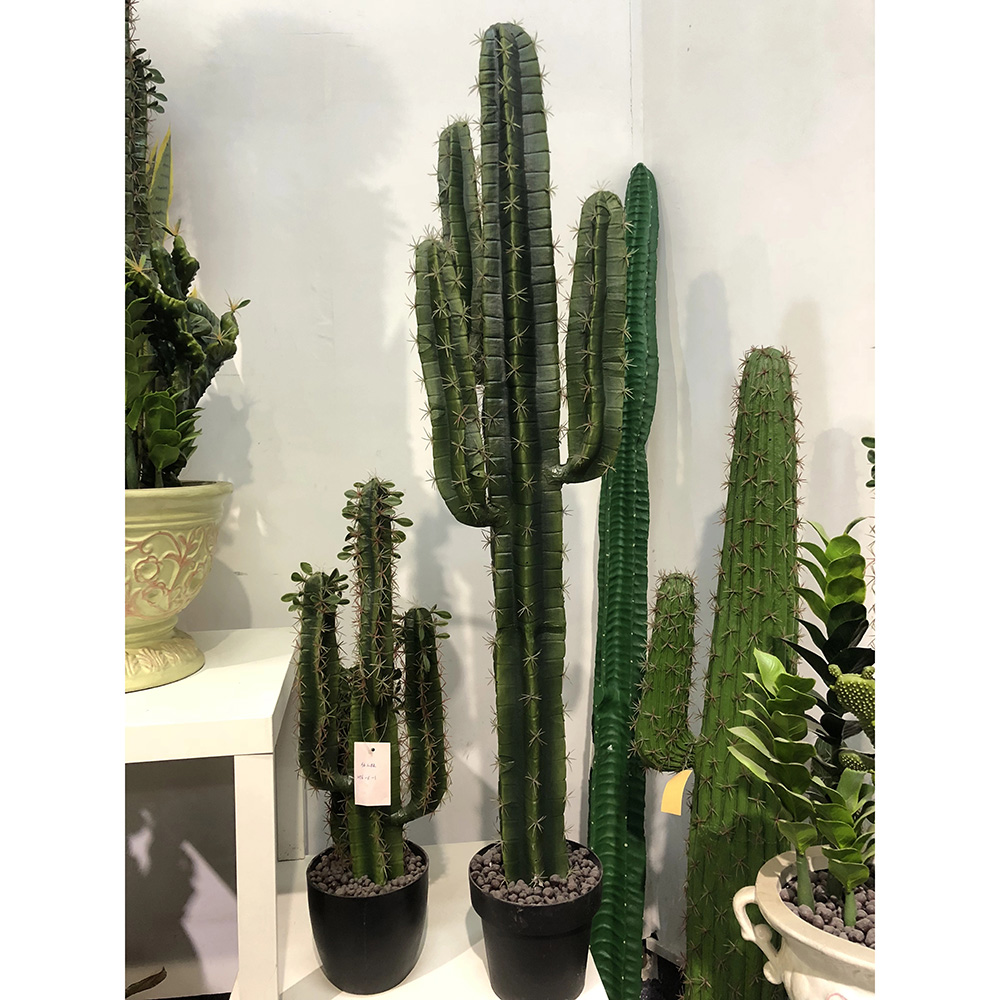 Cactus Mexicain-117cm