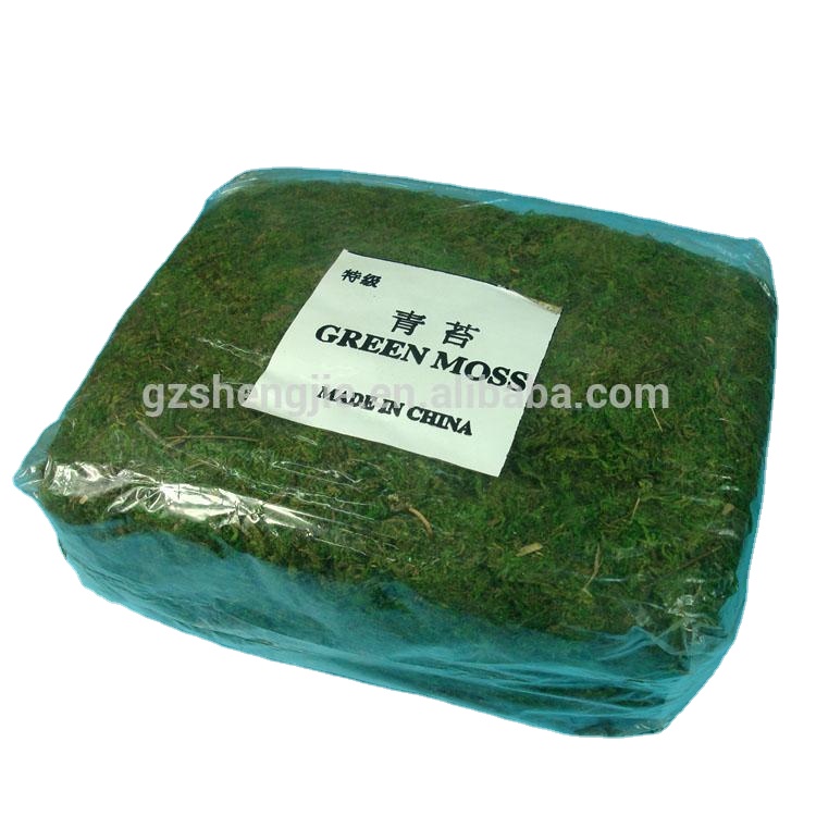 Популярные новые продукты для украшения натурального Моха из сухих зеленых мохов