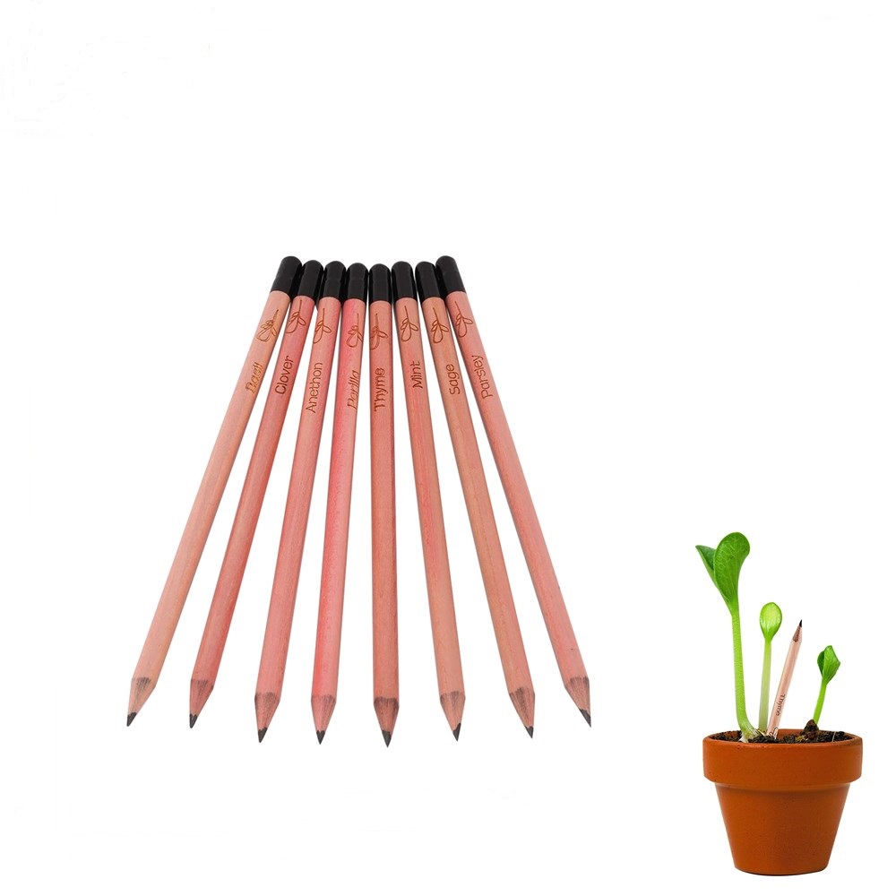 Горячая продажа семян карандаш