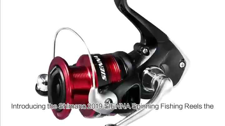 shimano sienna 100 100% Original SHIMANO Sienna Fishing Reel Ar-c Spool 500