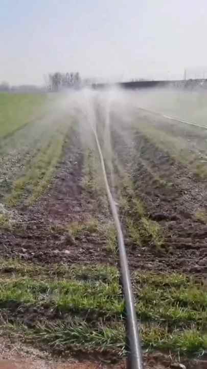 Spray Rain Best Seller Spray Rain Hose Customizable Tape for Agricultural and ...