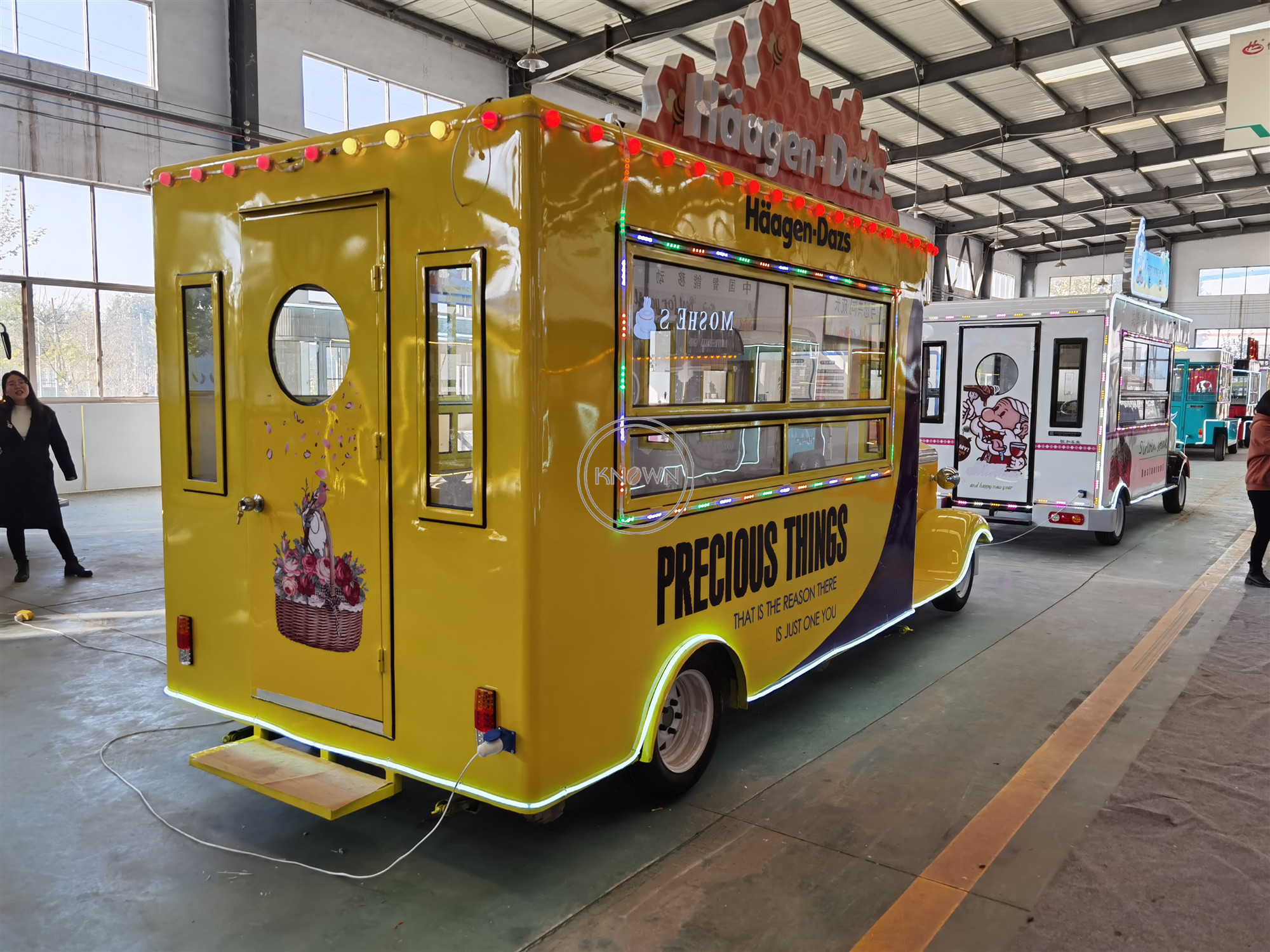 电动热雾食品车厢式移动餐饮食品车展示披萨出售泰国美国