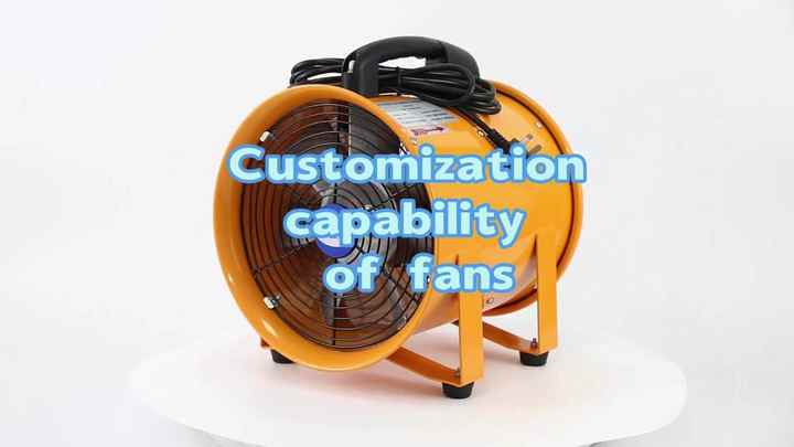 単相AC電気200mm250mm300mm産業用ポータブルベンチレーターファン 