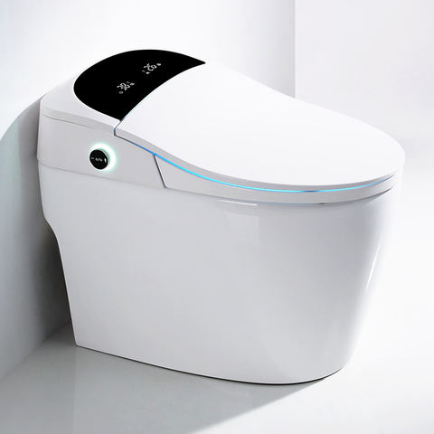 toilet, intelligent toilet direct from chaozhou micky ceramics